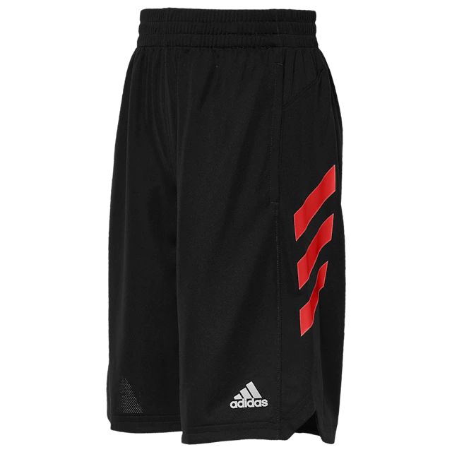 adidas Basketball Shorts